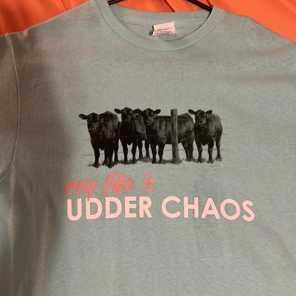 Cow tshirt. Never worn. Good condition. - Picture 3 of 5